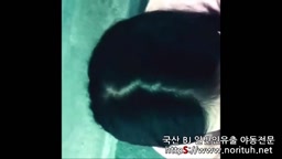 야외노출은 기본 남친 사까시 영상까지 촬영