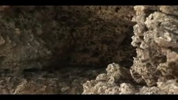 [FOED-046] Hitomi Aizawa 相澤仁美 × Yuzuki Aikawa 愛川ゆず季 Watch Online [Full Dvd] FOED-046