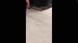 立ちバック　スレンダー美女