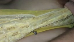 巨乳 母乳