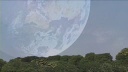 マイティレディ スパークル