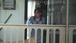 団地に住んでいますが、向かいの棟が丸見えで、、、3