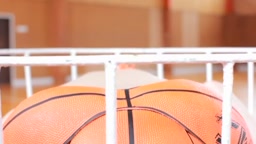 MS-0016 秋山莉奈 – ザ・おしり