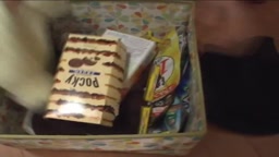 （低画質）MS-0001 Rina Akiyama 秋山莉奈 – りなンチ Rinanchi