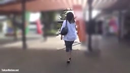 牝犬