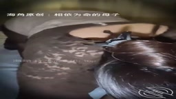 海角社區：相依為命的母子 鄰居家小孩的哭聲和我媽的呻吟聲同時在我耳邊響起