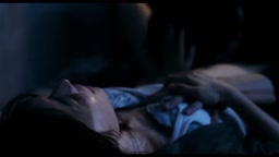 夜、鳥たちが啼く