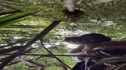 竹林でセックス