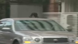 巨乳女狩り 車內強奸 瘋狂喫奶 性欲爆發