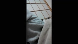 おなにー