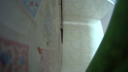 Spy China hotel toilet