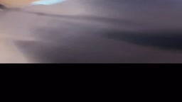 保険屋レディー