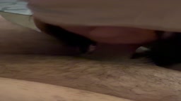 吞精的騷貨母狗