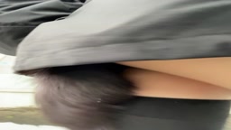 しっぽ露出