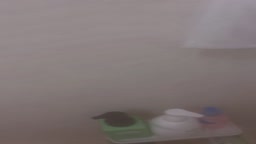 うい5