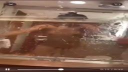 現役体育会系5人組