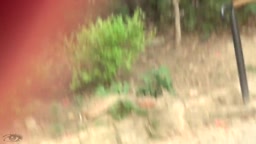 Jade pussy temptation Scene 4 マンコ誘惑