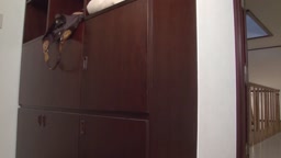 Wノーパン家政婦