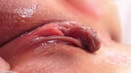 保存用パイパン