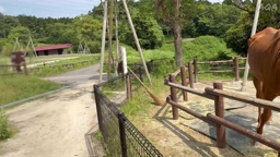 姪っ子　姉　本番　