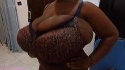 Massive chocolate tits
