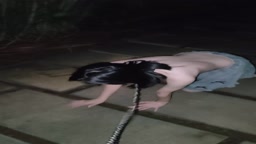 中国女孩公园露出