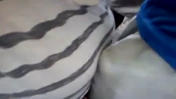 Encoxada 2 bus Chikan