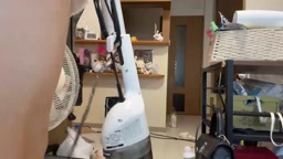 mrmk まんチラ