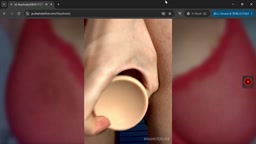 tits
