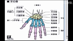 ライブチャット 露出 自撮り ポロリ