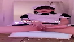 mesuinu