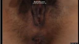 ライブチャット