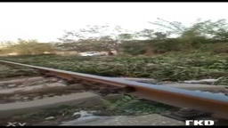 おしっこ　線路で