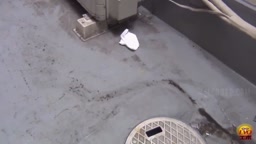 路地裏こっそりションベン...