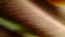 Encoxada Arrimon @158