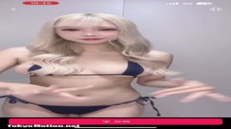 白豚