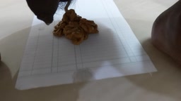 I haven't ever done a shit like this!