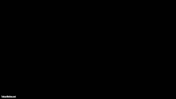 触4
