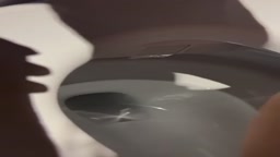 完全オリジナル