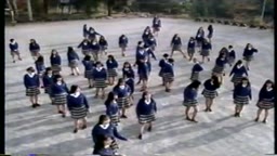 原宿探検隊「原色女子高生桃色図鑑」