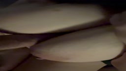 メンエス デカ乳輪