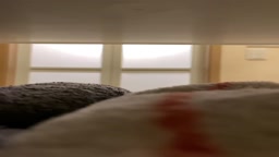 栃木の女子大生　流出