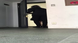 東京都K区／家○大学に通う女子大生宅に侵入／非情の中※し