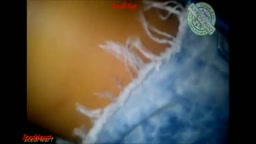 Encoxada Arrimon @362