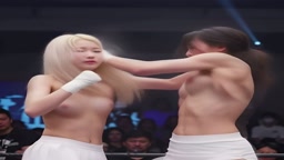 おっぱいボクシング