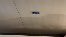 セフレとバック影