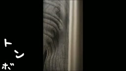 カップル 民家 盗