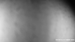 Concert Encoxada White Short's Friend part 2 public