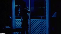 高の島　礼子詰合せ