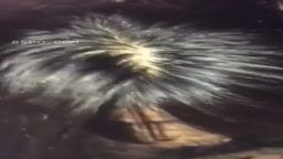 可愛い子のフェラとパイズリ